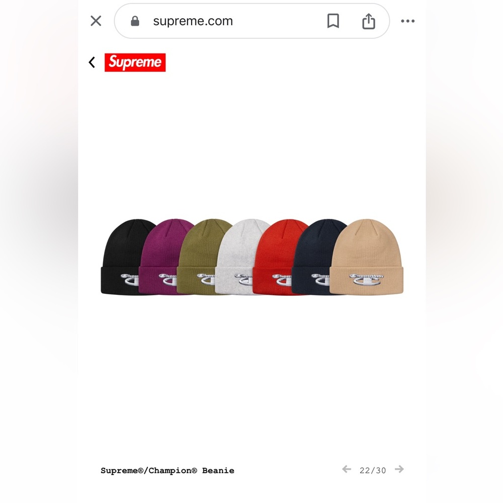 Supreme Champion 3D Metallic Beanie F/W 2018